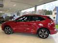 Ford Kuga ST-Line X 2.5 PHEV 225ch Rouge - thumbnail 6