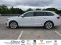 Skoda Octavia Combi Selection 1.5l TSI MHEV 110kW DSG Pano LED N Weiß - thumbnail 3