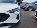 Ford Focus Focus Active SW 1.0t ecoboost h 125cv Alb - thumbnail 18