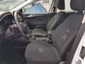 Ford Focus Focus Active SW 1.0t ecoboost h 125cv Alb - thumbnail 12