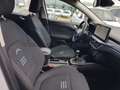 Ford Focus Focus Active SW 1.0t ecoboost h 125cv Alb - thumbnail 24