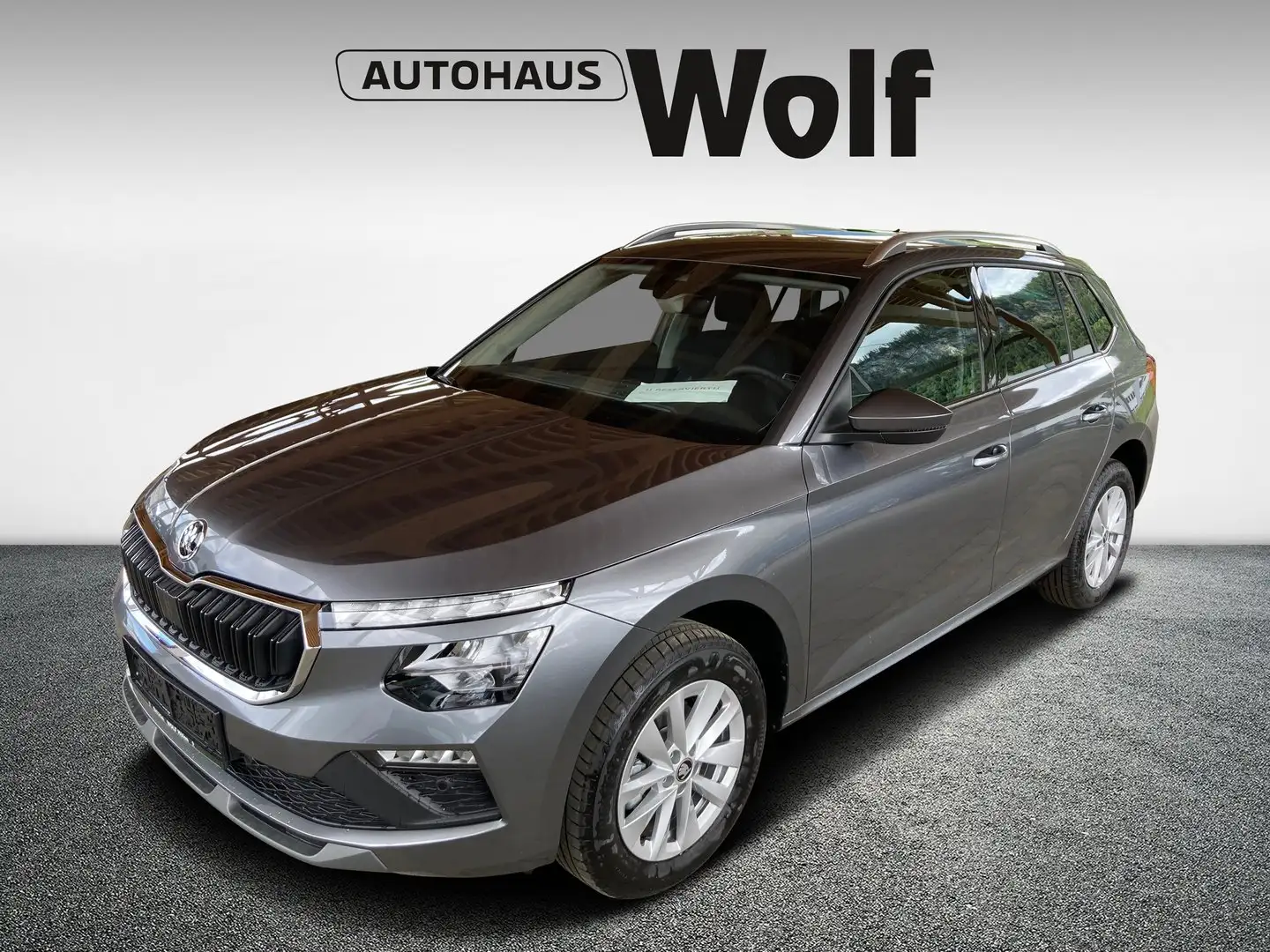 Skoda Kamiq Selection TSI Grau - 1