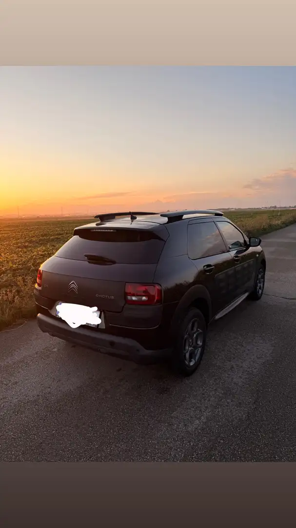 Citroen C4 Cactus - 2