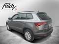 Skoda Karoq 4x4 Ambition TDI DSG Grau - thumbnail 3