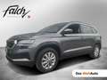 Skoda Karoq 4x4 Ambition TDI DSG Grau - thumbnail 1