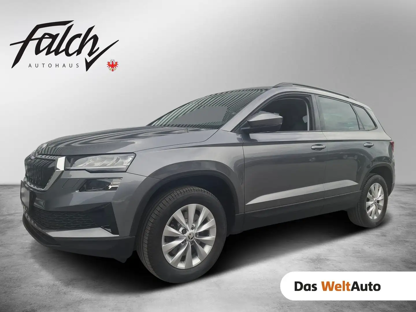 Skoda Karoq 4x4 Ambition TDI DSG Grau - 1