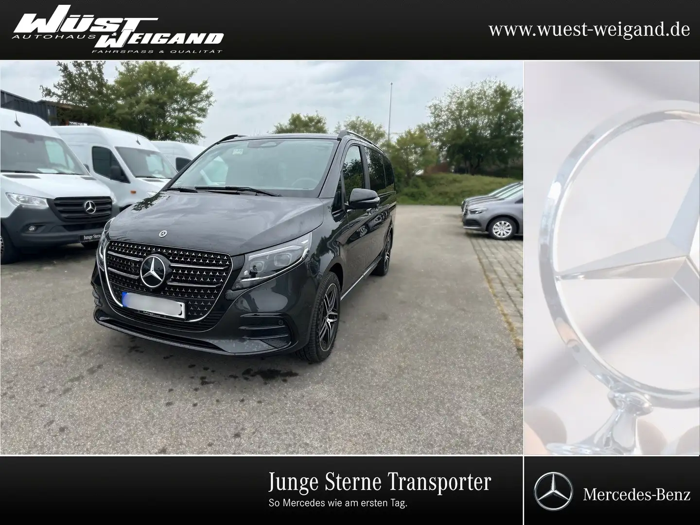 Mercedes-Benz V 300 d 4MATIC AVANTGARDE Lang+AHK+Kamera+Pano Grau - 1