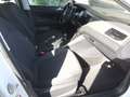 Volkswagen Polo 1.6TDI Advance 70kW Weiß - thumbnail 6