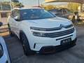Citroen C5 Aircross C5 Aircross 1.5 bluehdi Shine 130cv Bianco - thumbnail 2