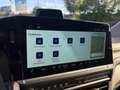Volkswagen T7 Caravelle VW T7 Caravelle Edition LR eHybrid 171 kW Grau - thumbnail 12