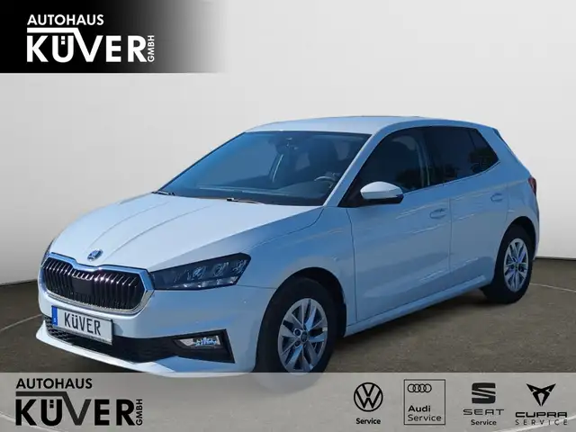 Skoda Fabia Selection 1.0 TSI DSG NAVI*LED*PDC