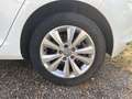 Volkswagen Golf 5p 1.6 tdi (btdi) Comfortline 110cv Bianco - thumbnail 13