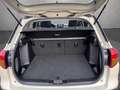 Suzuki Vitara Comfort+ 1.6 DDiS 4x4 LED/ACC/NAVI/PANO Beige - thumbnail 10