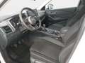 Nissan Qashqai QASHQAI 1.3 DIG-T MHEV ACENTA NAVI WINTER Bianco - thumbnail 20