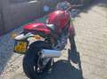 Ducati Monster 900 Ducati Monster 900 I.E. Rood - thumbnail 5