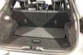 Ford Puma 1.0 EcoBoost MHEV ST-Line X 125 - thumbnail 11