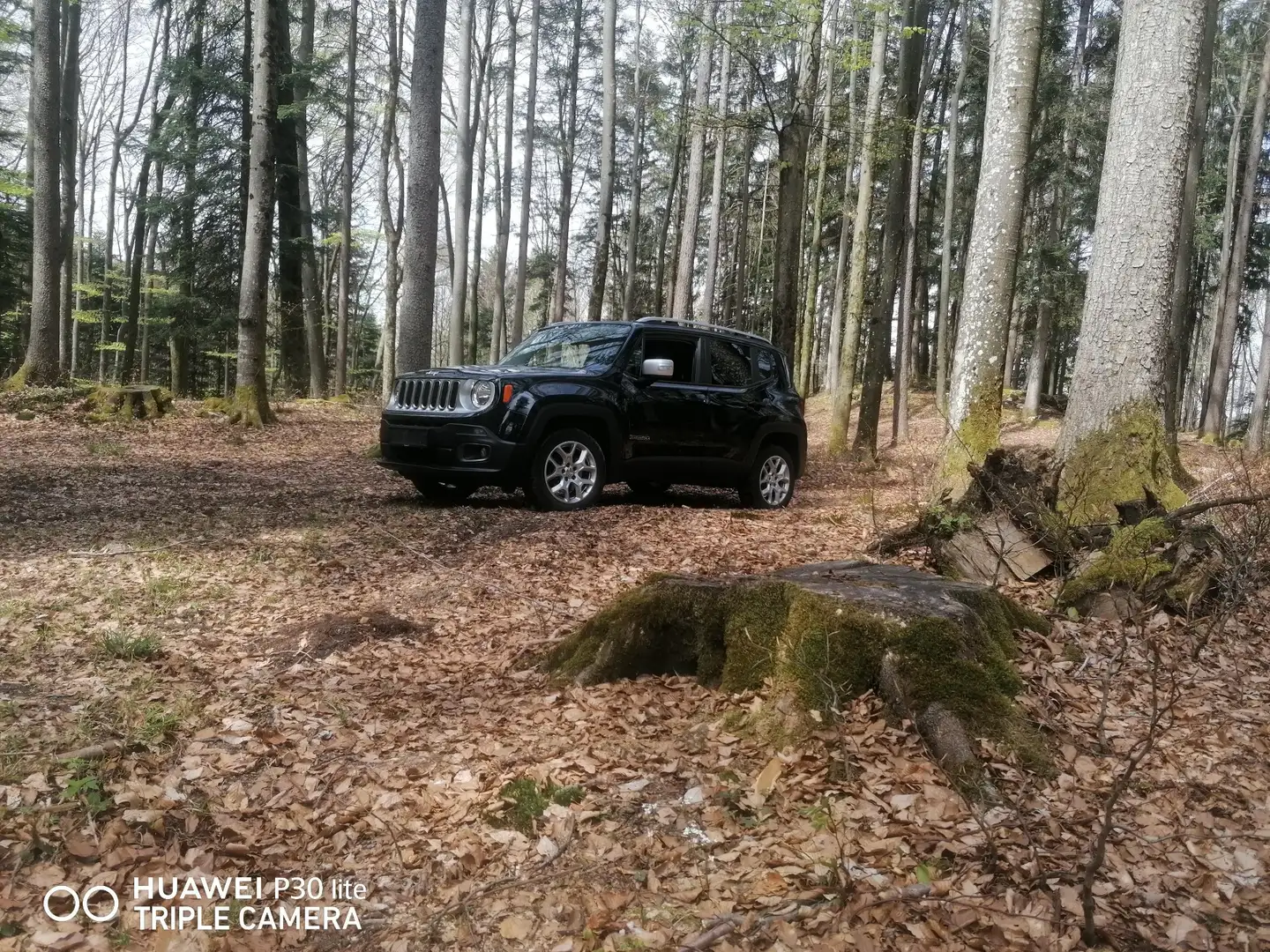 Jeep Renegade 2,0 MultiJet II 120 Limited AWD - 1
