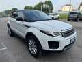 Land Rover Range Rover Evoque 5p 2.0 ed4 Pure Business edition Premium 150cv Bianco - thumbnail 1