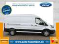 Ford Transit Kasten 350 L3 Trend Weiß - thumbnail 3