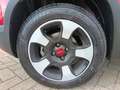 Fiat Panda Panda Cross 1.0 FireFly S&S Hybrid Rot - thumbnail 13