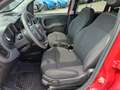 Fiat Panda Panda Cross 1.0 FireFly S&S Hybrid Rot - thumbnail 14