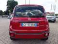 Fiat Panda Panda Cross 1.0 FireFly S&S Hybrid Rot - thumbnail 6