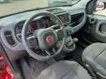Fiat Panda Panda Cross 1.0 FireFly S&S Hybrid Rot - thumbnail 17