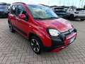 Fiat Panda Panda Cross 1.0 FireFly S&S Hybrid Rot - thumbnail 3