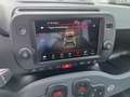 Fiat Panda Panda Cross 1.0 FireFly S&S Hybrid Rot - thumbnail 19
