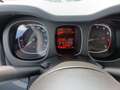 Fiat Panda Panda Cross 1.0 FireFly S&S Hybrid Rot - thumbnail 21
