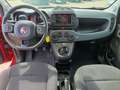 Fiat Panda Panda Cross 1.0 FireFly S&S Hybrid Rot - thumbnail 16