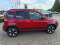 Fiat Panda Panda Cross 1.0 FireFly S&S Hybrid Rot - thumbnail 4