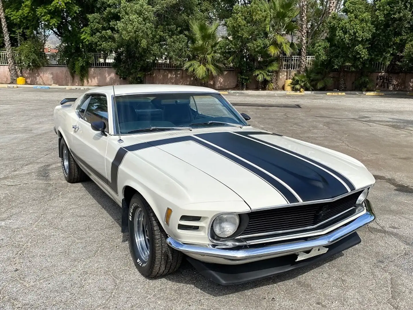 Ford Mustang FASTBACK - 2