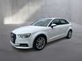 Audi A3 Audi A3 SB 1.6 TDI intense Weiß - thumbnail 2