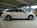 SEAT Leon Sportstourer 1.5 TSI STYLE OPF Tempomat Weiß - thumbnail 7