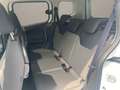 Ford Tourneo Courier Titanium,Climatronic,Tempomat,Winter-P.,Parksensor Bianco - thumbnail 12