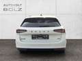 Skoda Superb Combi Sportline 4x4 2.0 TDI HUD StandHZG AHK Panod Weiß - thumbnail 5