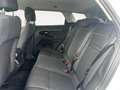 Land Rover Range Rover Evoque 163cv IVA ESPOSTA Bianco - thumbnail 5