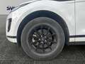 Land Rover Range Rover Evoque 163cv IVA ESPOSTA Bianco - thumbnail 9