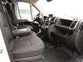 Fiat Ducato Maxi 35 L5H3 140 AT / Abstandstempomat Weiß - thumbnail 10