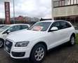 Audi Q5 Q5 2.0 tdi Advanced Plus quattro 143cv Bianco - thumbnail 1