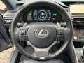 Lexus IS 300 h F-Sport Schiebedach*Navi*ACC*KAM*DAB Silber - thumbnail 13