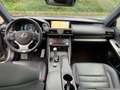Lexus IS 300 h F-Sport Schiebedach*Navi*ACC*KAM*DAB Silber - thumbnail 12