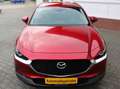 Mazda CX-30 CX-30 LED Scheinwerfer, PDC v+h,Head-Up-Display Rot - thumbnail 8