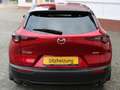 Mazda CX-30 CX-30 LED Scheinwerfer, PDC v+h,Head-Up-Display Rot - thumbnail 4