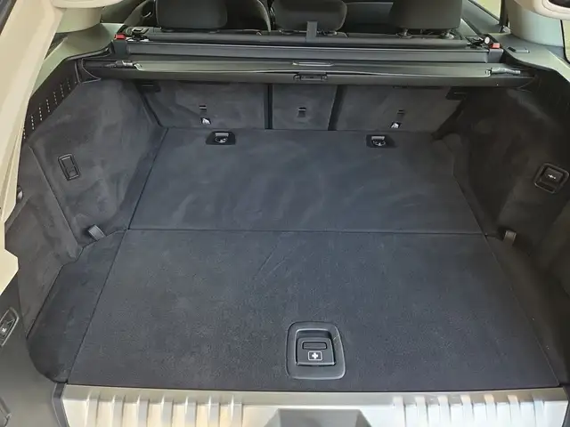 BMW 5 Series view 12
