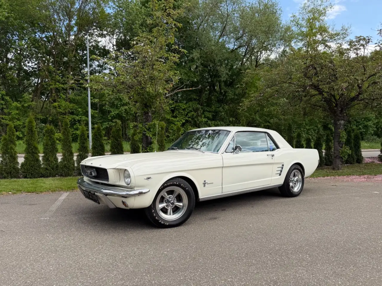 Ford Mustang V8 aus 1966 mit Servolenkung/Klimaanlage, foto 2