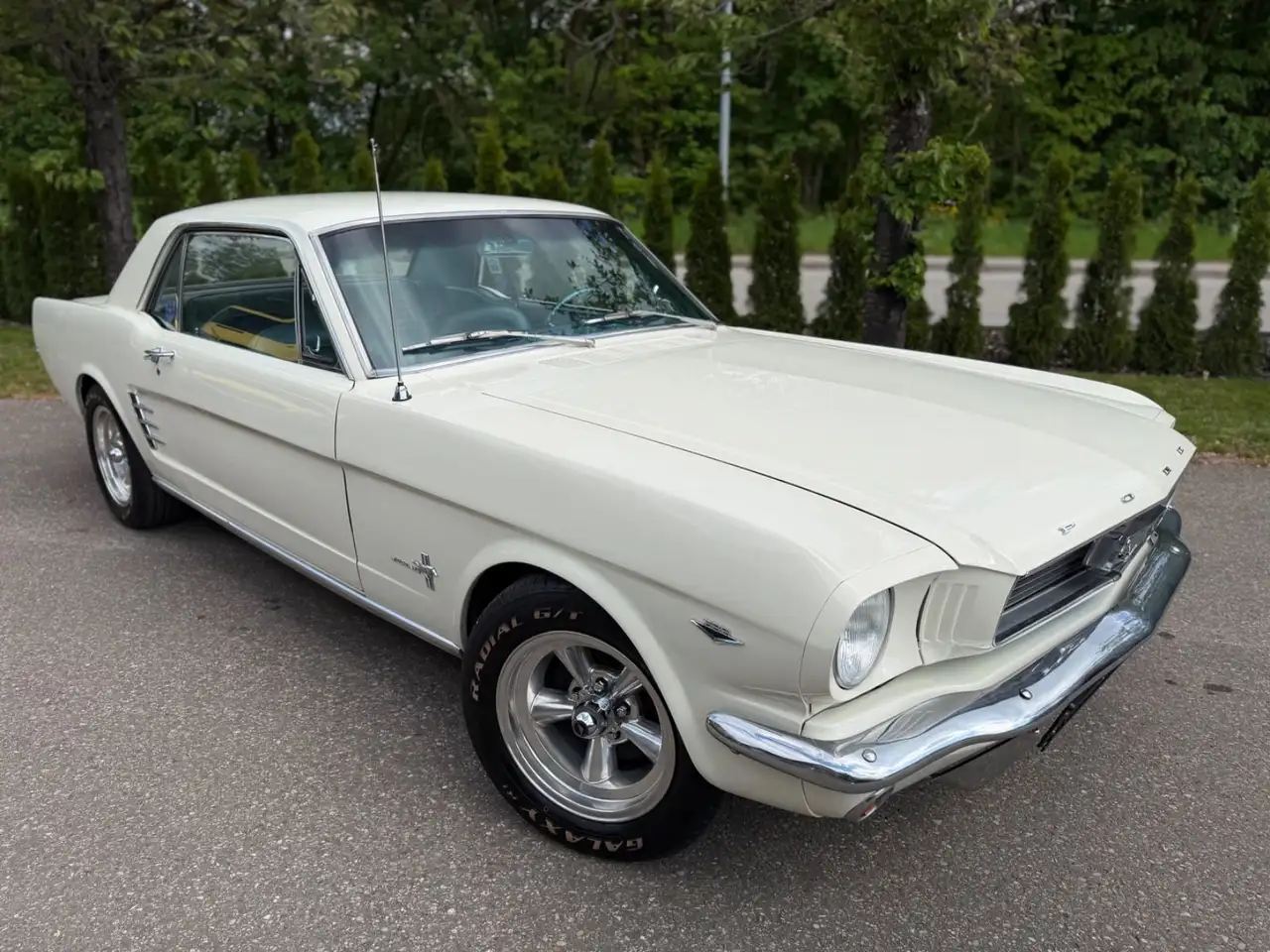 Ford Mustang V8 aus 1966 mit Servolenkung/Klimaanlage, foto 4