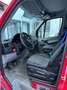 Volkswagen Crafter Crafter 35 TDI DPF Cool Profi Rot - thumbnail 6