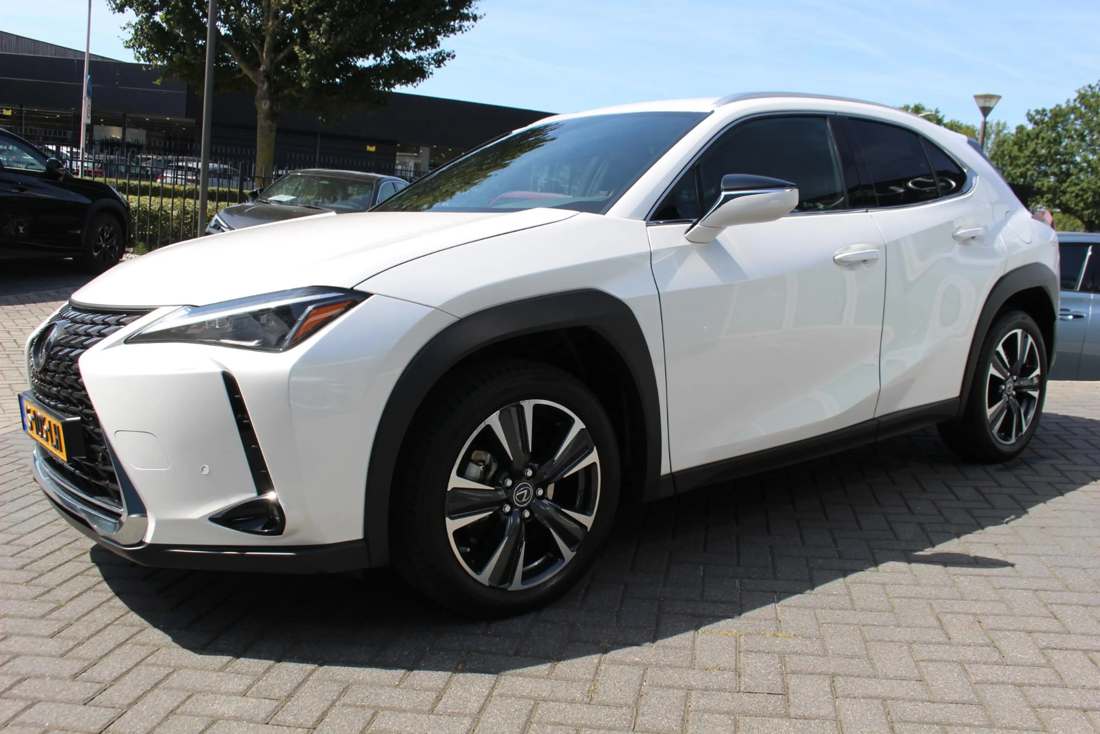 Lexus UX 250h Business Line NAVIGATIE ADAPATIVE CRUISE — photo 7